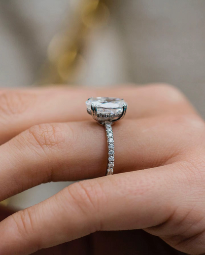 Novara - LM Jewellers